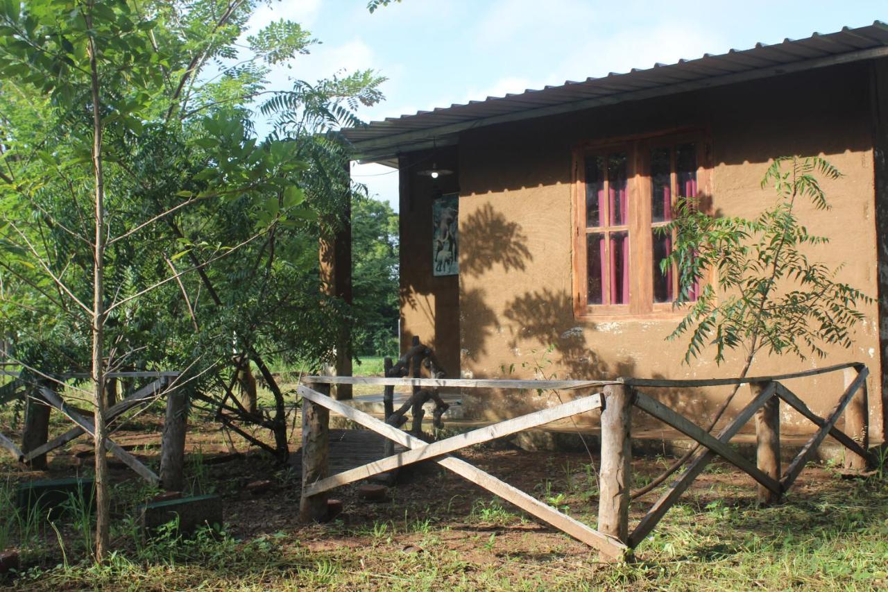 Wilpattu Holiday Home Nochchiyagama Exterior photo