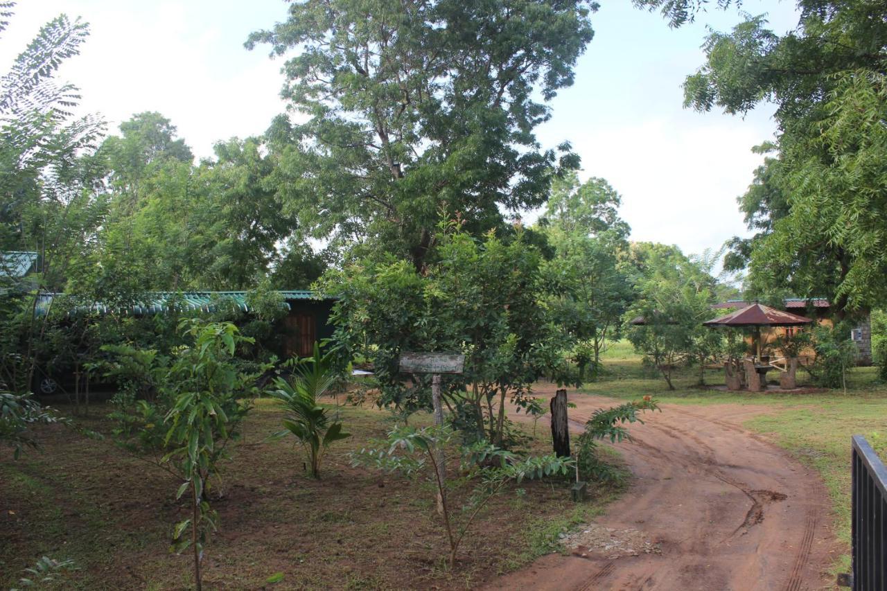 Wilpattu Holiday Home Nochchiyagama Exterior photo